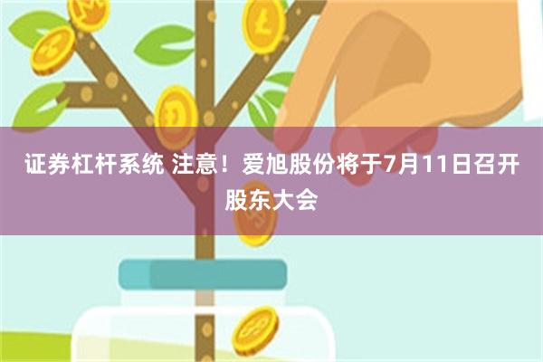 证券杠杆系统 注意！爱旭股份将于7月11日召开股东大会