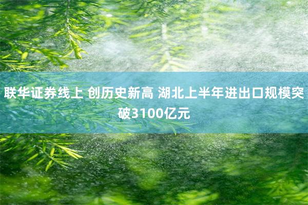 联华证券线上 创历史新高 湖北上半年进出口规模突破3100亿元