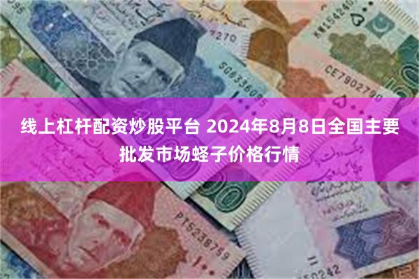 线上杠杆配资炒股平台 2024年8月8日全国主要批发市场蛏子价格行情