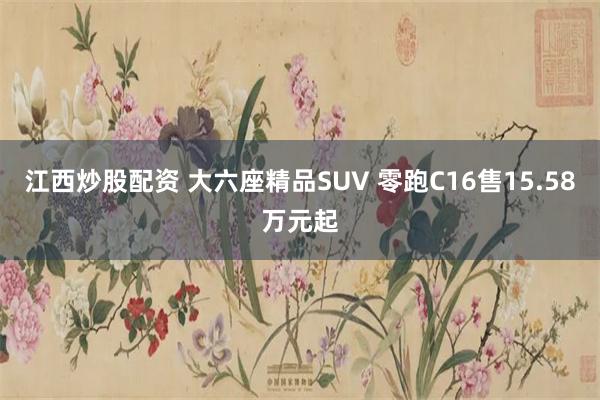 江西炒股配资 大六座精品SUV 零跑C16售15.58万元起