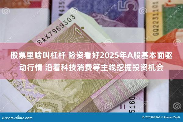 股票里啥叫杠杆 险资看好2025年A股基本面驱动行情 沿着科技消费等主线挖掘投资机会