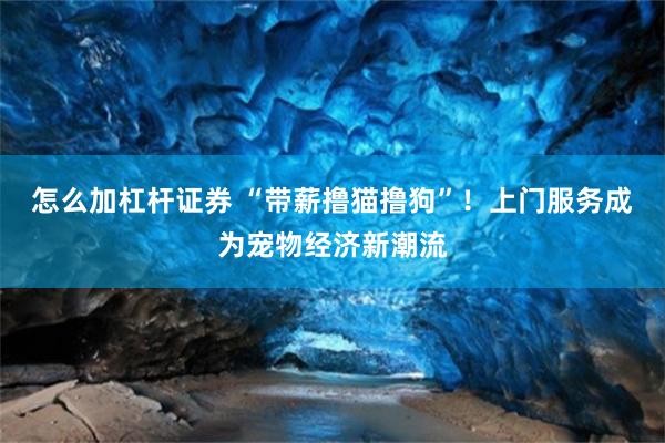 怎么加杠杆证券 “带薪撸猫撸狗”！上门服务成为宠物经济新潮流