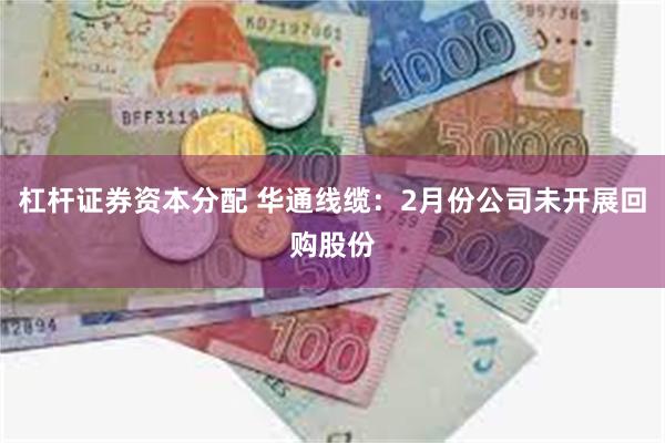 杠杆证券资本分配 华通线缆：2月份公司未开展回购股份