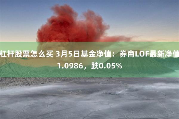 杠杆股票怎么买 3月5日基金净值：券商LOF最新净值1.0986，跌0.05%