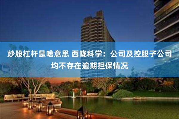 炒股杠杆是啥意思 西陇科学：公司及控股子公司均不存在逾期担保情况